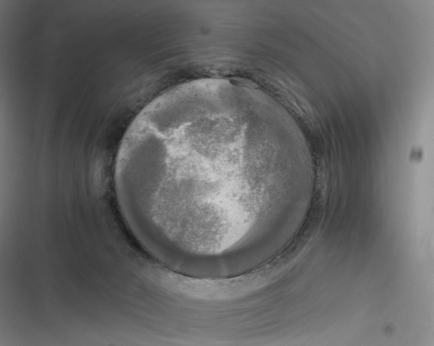 X0000116800030201001081344
