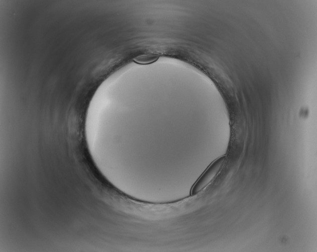 X0000116800031201001081344