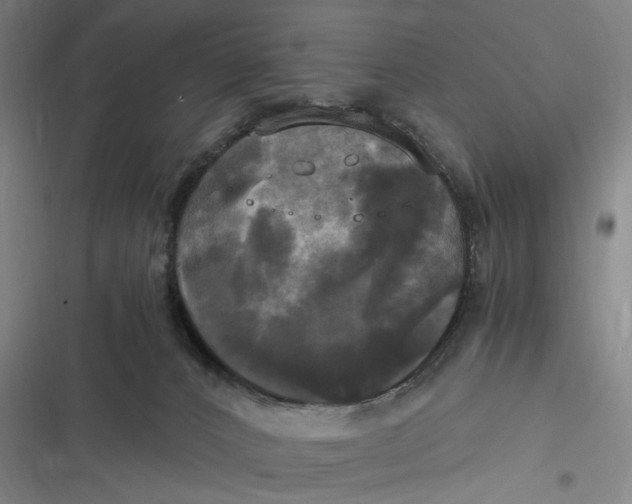 X0000116800032201001081344