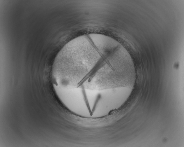 X0000116800034201001081344
