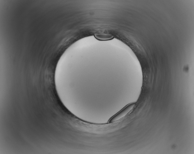 X0000116800035201001081344