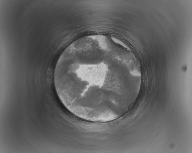 X0000116800036201001081344