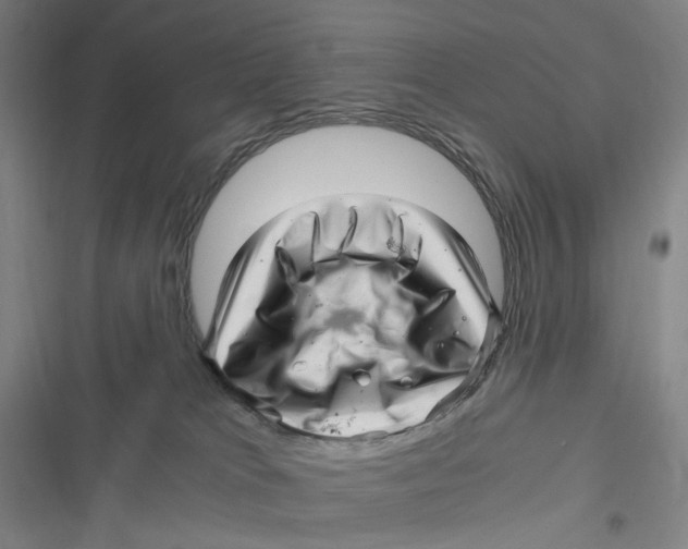 X0000116800037201001081344
