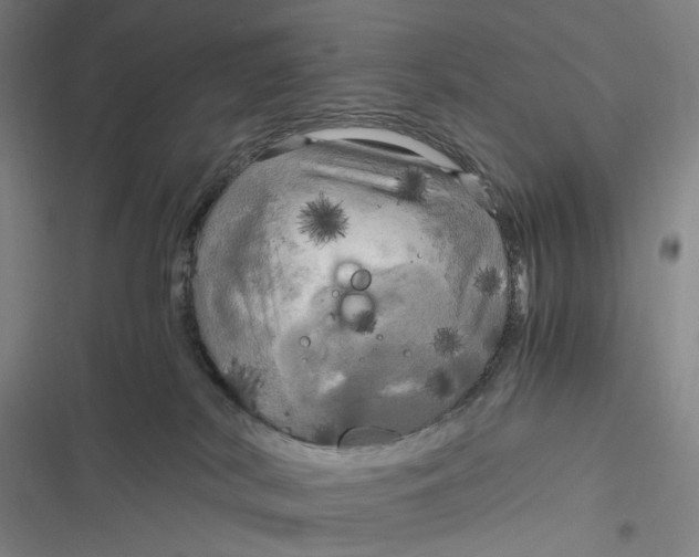 X0000116800038201001081343