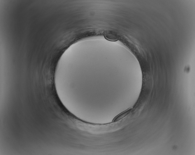 X0000116800039201001081343