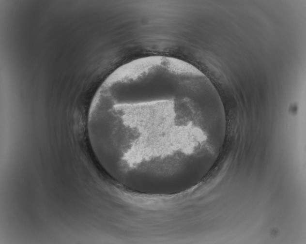 X0000116800040201001081343