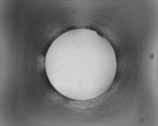 X0000116800041201001081343