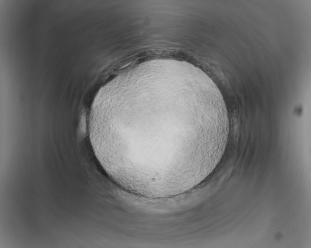 X0000116800042201001081343