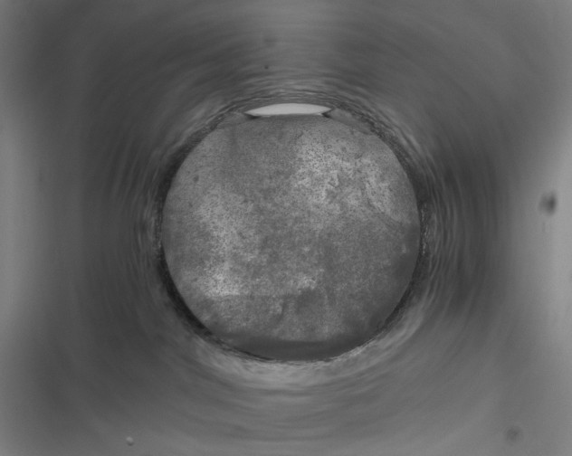 X0000116800044201001081343