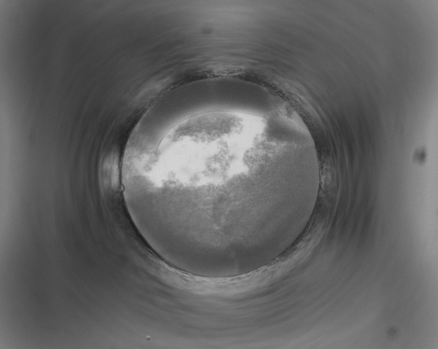 X0000116800046201001081343