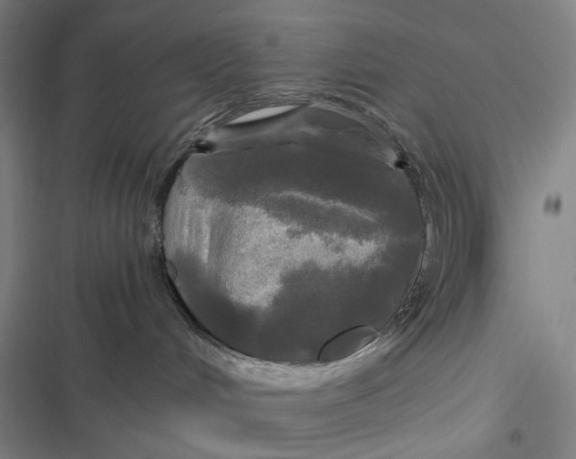 X0000116800048201001081343