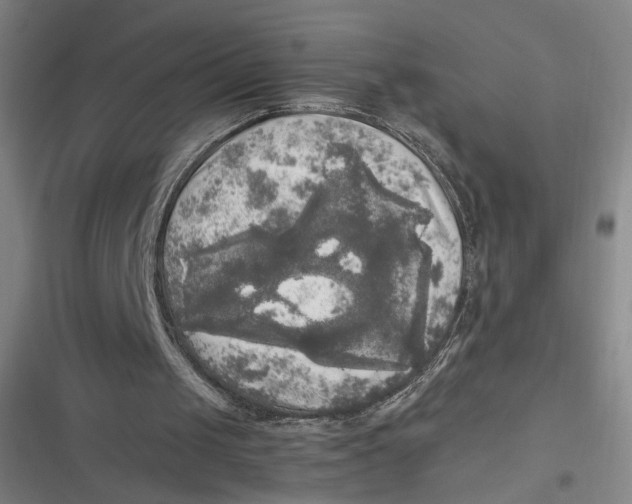 X0000116800049201001081343