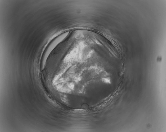 X0000116800050201001081343
