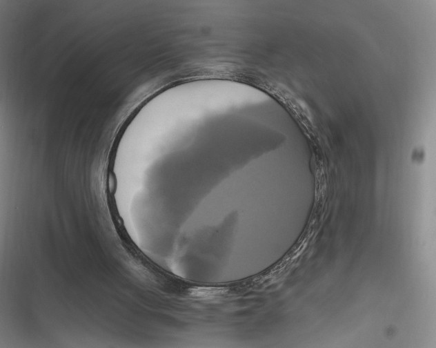 X0000116800051201001081343