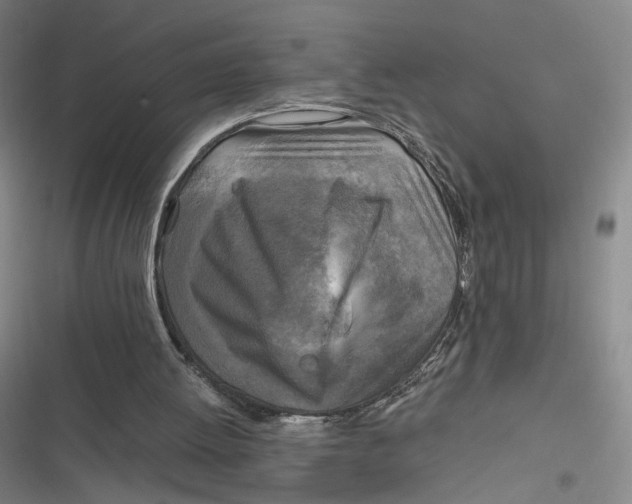 X0000116800052201001081343