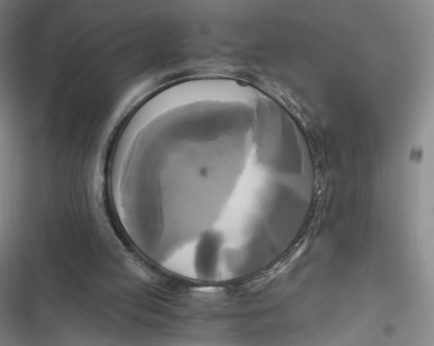 X0000116800053201001081343