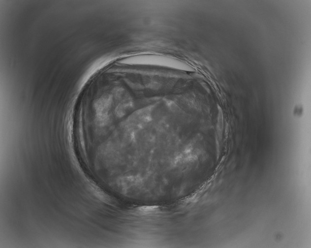X0000116800054201001081343
