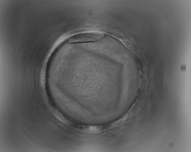 X0000116800056201001081343