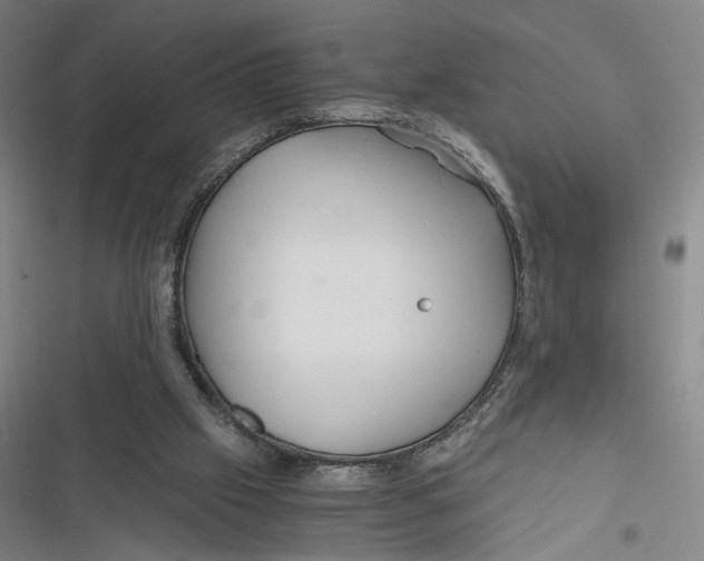 X0000116800057201001081343