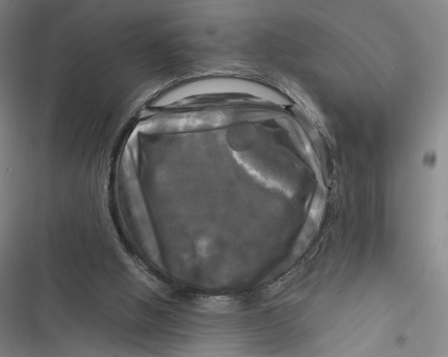 X0000116800058201001081343