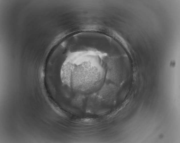 X0000116800059201001081343