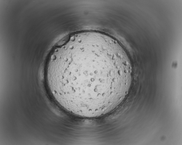 X0000116800060201001081343