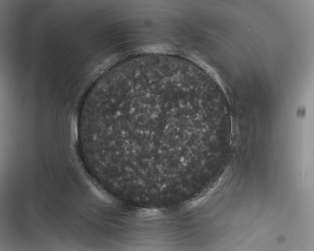 X0000116800061201001081343
