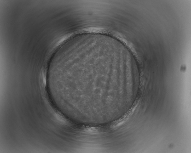 X0000116800062201001081343