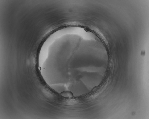 X0000116800063201001081343