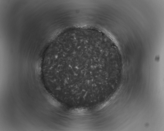X0000116800065201001081343
