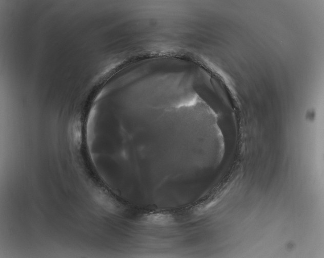 X0000116800067201001081343