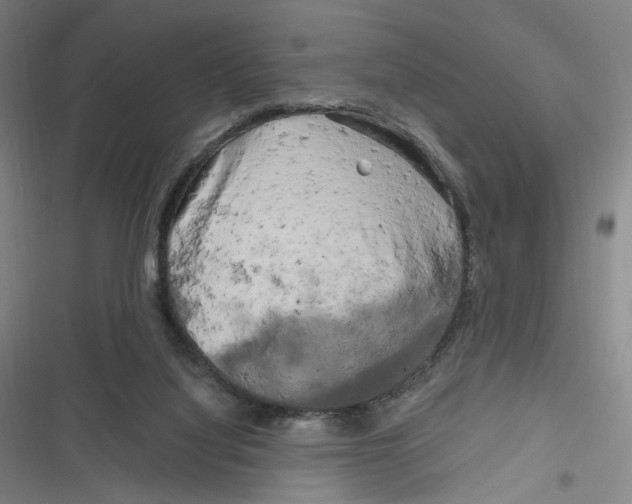 X0000116800068201001081343