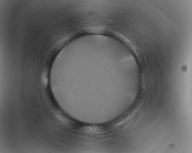 X0000116800069201001081343