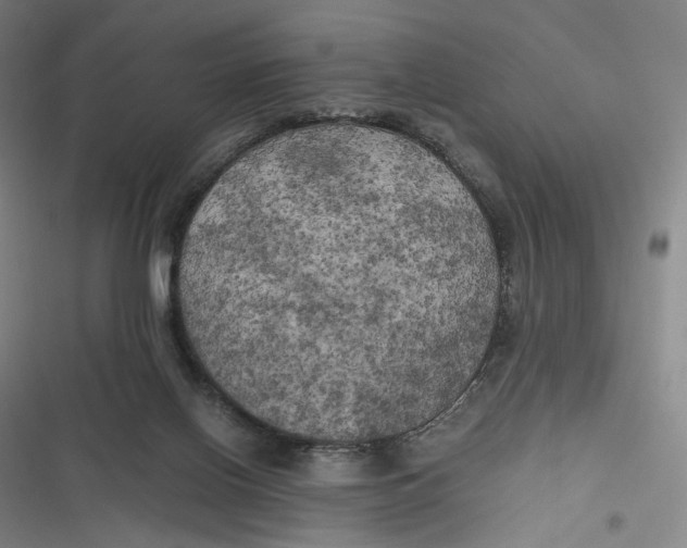 X0000116800070201001081343
