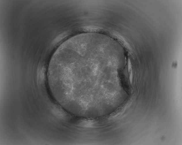 X0000116800071201001081343