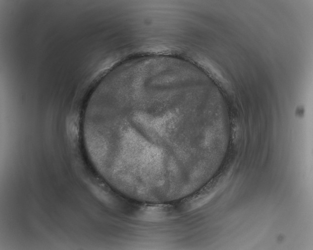X0000116800072201001081343