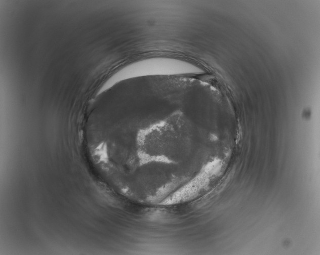 X0000116800074201001081343