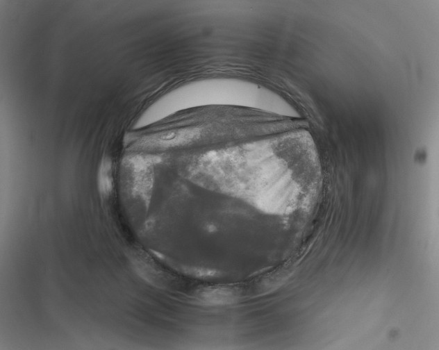 X0000116800075201001081343