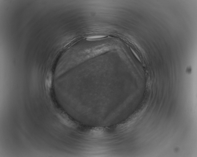 X0000116800076201001081343