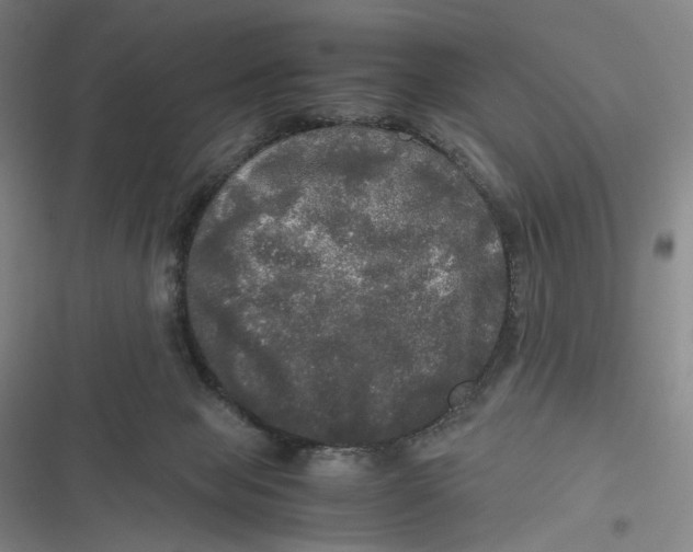 X0000116800077201001081343