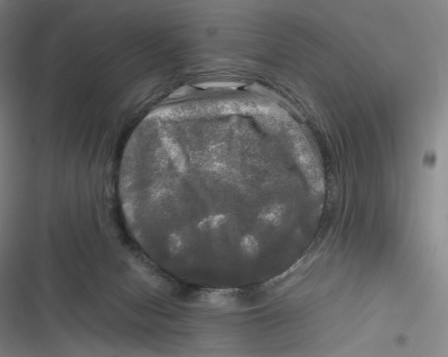 X0000116800078201001081343
