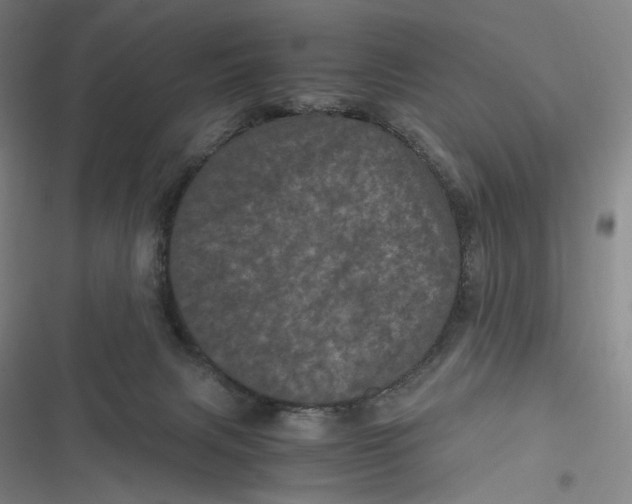 X0000116800079201001081343