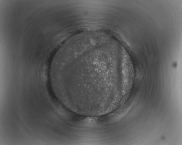 X0000116800080201001081343