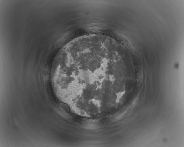X0000116800081201001081343