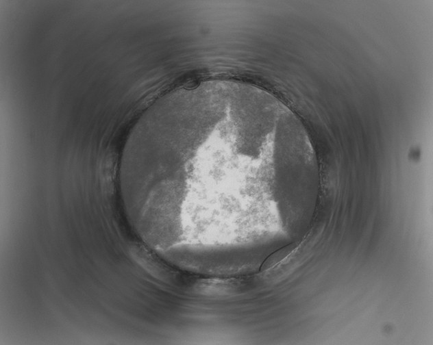 X0000116800082201001081343