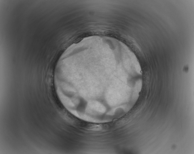X0000116800083201001081343