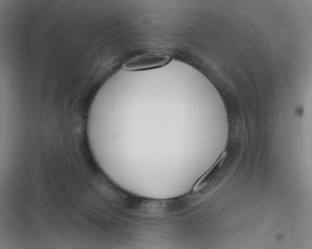 X0000116800084201001081343