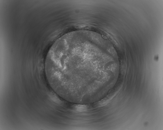 X0000116800085201001081343