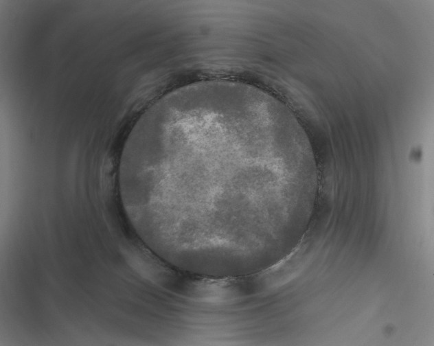 X0000116800086201001081343