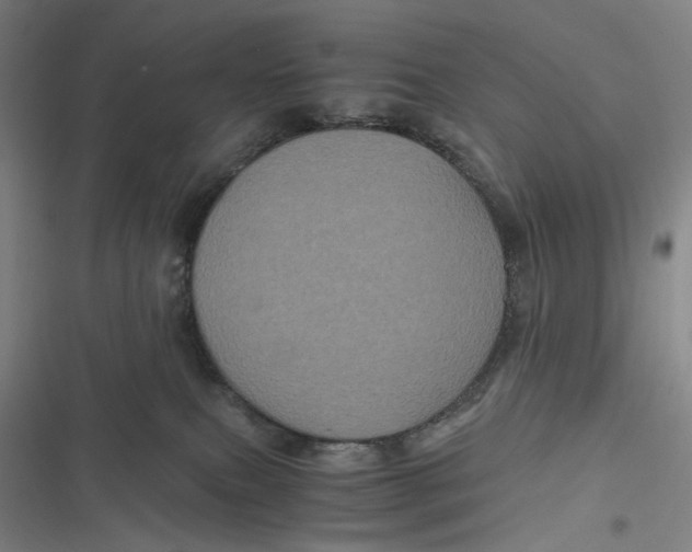 X0000116800087201001081343